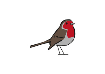 Robin. Original vector Ai in loose illustration style.