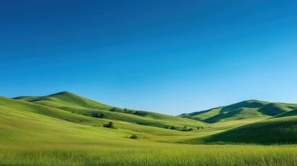 Fototapeta premium Lush green rolling hills under a vibrant blue sky