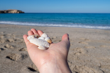 Hand holding seashells on sandy beach with turquoise water