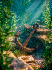Obraz premium Rusty anchor resting among rocks and greenery under sunbeams in a serene natural setting