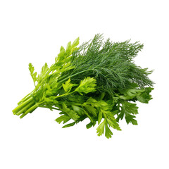Fresh bunch of parsley and dill herbs isolated on transparent background