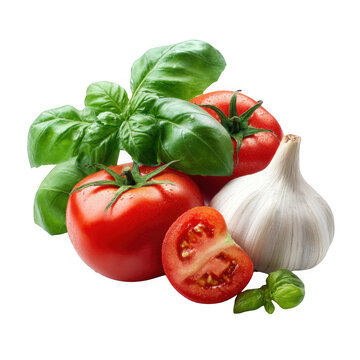 Fresh tomatoes basil and garlic ingredients for italian cooking isolated on transparent background