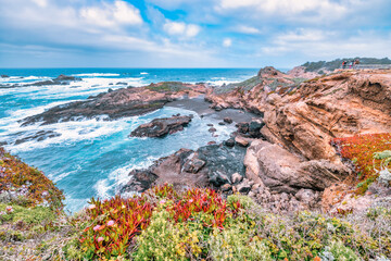 Vibrant coastal view at Point Lobos, California, with dramatic cliffs, succulents, and turquoise...