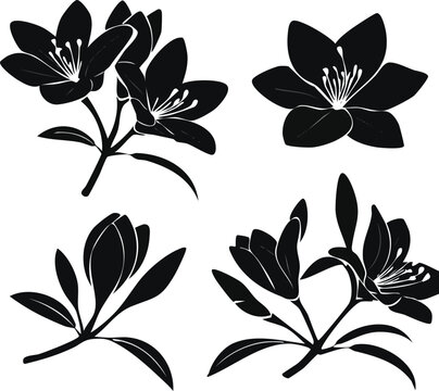 Elegant Azalea Flower Silhouette Set Vector Illustrations of Blooming and Budding Flowers