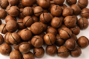 Macadamia nuts in a shell isolated on a white background.
