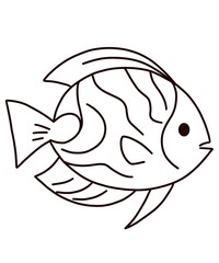 fish vector illustration sea fish sketch icon