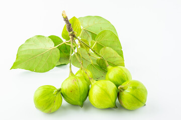 Fresh tung fruit on white background