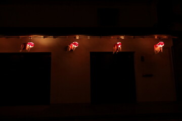 点灯された金魚提灯