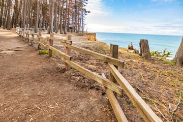 Cliffside trail lined with cypress trees and wooden fence at J V Fitzgerald Marine Reserve,...