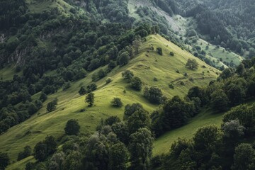 Obraz premium Lush eco friendly hills covered in trees and grass