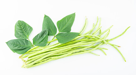 Fresh cowpea on white background