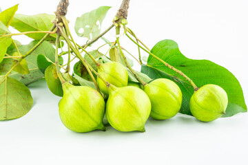 Fresh tung fruit on white background
