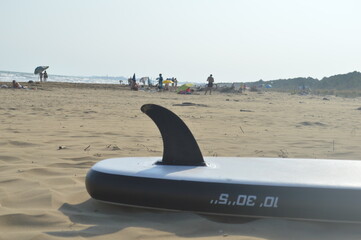 Stand-up board on the beach