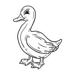 Hand drawing style of duck vector. It is suitable for farm animal icon, sign or symbol.
