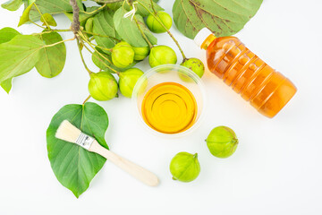 Fresh tung fruit and tung oil on white background
