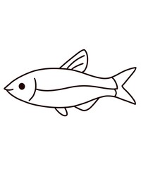 fish vector illustration sea fish sketch icon