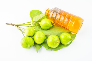 Fresh tung fruit and tung oil on white background