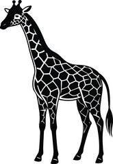 Naklejka premium Elegant giraffe vector illustration with a long neck and spots, isolated on white, perfect for wildlife and safari designs ,portrait, standing, fashion, graceful