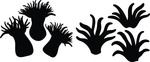 Obraz premium Set of coral reef & ocean black silhouette vector art isolated on white background. Marine life illustrations for aquarium & nature designs