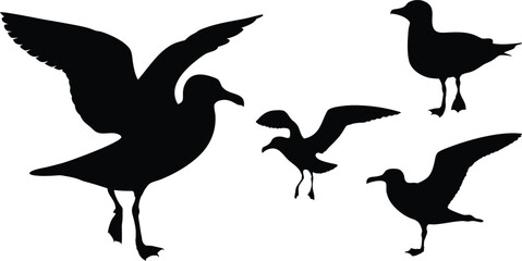 Fototapeta premium Set of seagull vector silhouette isolated on white background - Flying bird logo design illustration, Ocean wildlife icon set for travel & nature-themed projects