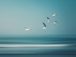 Slow shutter motion blur of seagulls flying over the ocean blurred photography coastal serenity aerial view