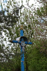 cross in the park