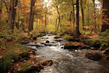 Obraz premium River coursing through autumn forest