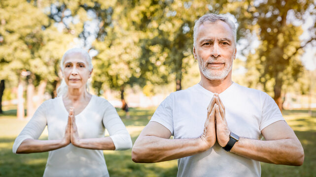 Senior couple, yoga and meditation the green summer park for healthy spiritual wellness in nature. Happy elderly woman and man meditating in happiness for calm peaceful exercise in the outdoors