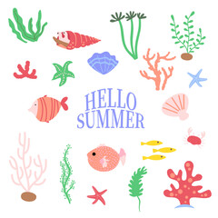 여름 요소 바닷속 생물 해변
