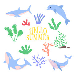 여름 요소 바닷속 생물 고래
