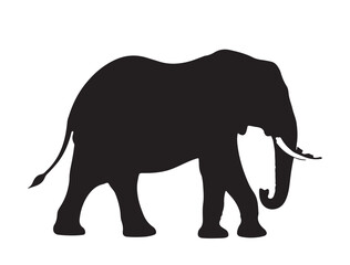 Fototapeta premium African elephant Silhouette black Vector Image white background