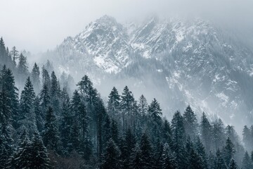Snowy forest and mountains in layers