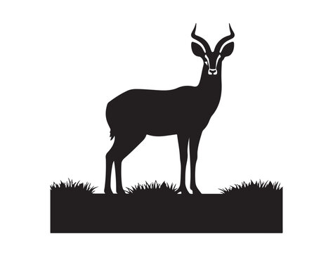Antilope cervicapra Silhouette black Vector Image white background