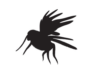 Chiroptera Silhouette black Vector Image white background