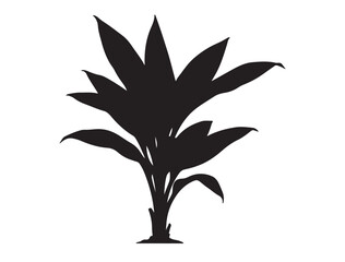 Curcuma longa Plant Silhouette black Vector Image white background