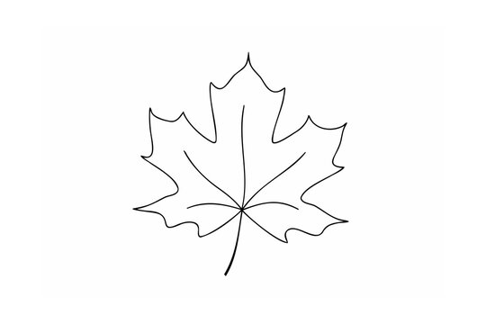 Maple leaf outline autumn fall