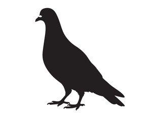Pigeon Silhouette black Vector Image white background