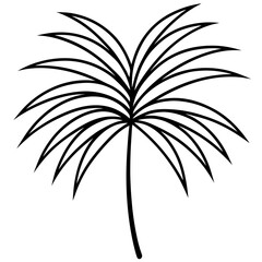 Palm leaf line art vector illustration 