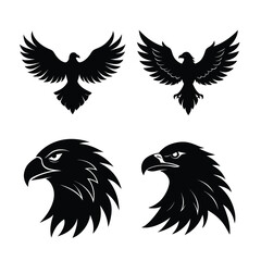 Eagle Bundile