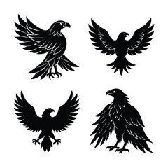 Eagle Bundile