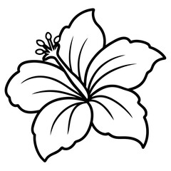Tropical hibiscus flower line art vector illustration  © Nur