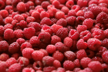 Sweet raspberry background. Full frame of fresh raspberries. Red ripe berry photo wallpaper...