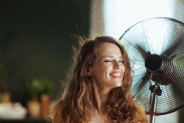 A woman with windswept brown hair smiles with closed eyes, standing before a metal fan. This indoor scene conveys comfort, relief, and enjoyment in warm weather.