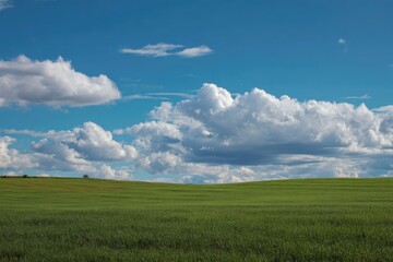Fototapeta premium verdant meadow and azure expanse