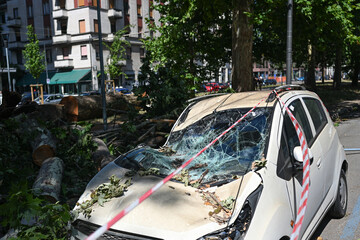 An uprooted tree fallen on a road and on a car in the aftermath of a thunderstorm with strong winds in Milan, Italy