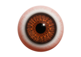 Close Up Realistic Human Eye with Detailed Brown Iris and Fine Blood Vessels on Transparent Background