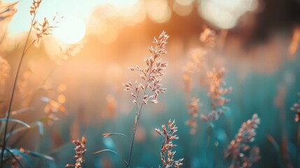 A field of tall grasses swaying in the wind at sunset, with a warm, golden hue illuminating the scene.