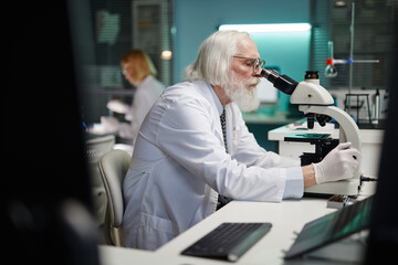Senior Caucasian man with hair and beard examining sample using microscope in scientific...