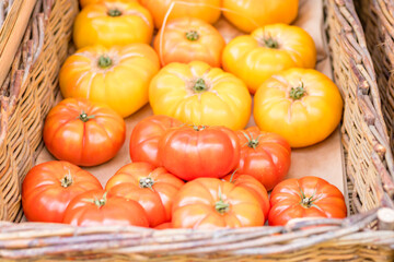 Fresh tomatoes on branch in wicker baskets. High quality photo