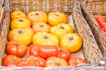 Fresh tomatoes on branch in wicker baskets. High quality photo